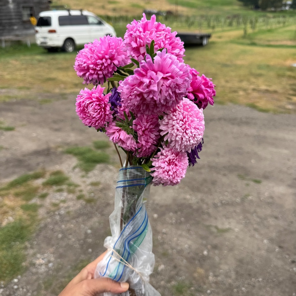 Meet your Posher, Bee